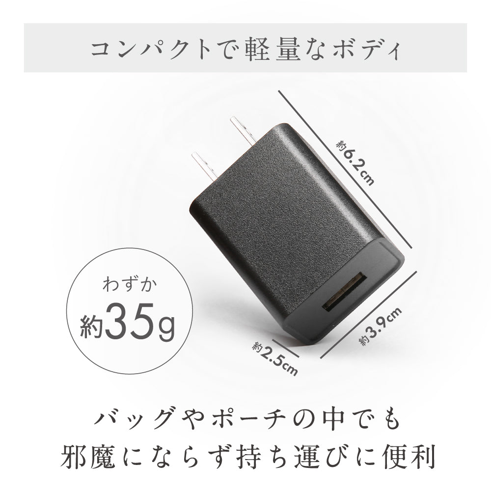 NIPLUX USB-ACアダプター