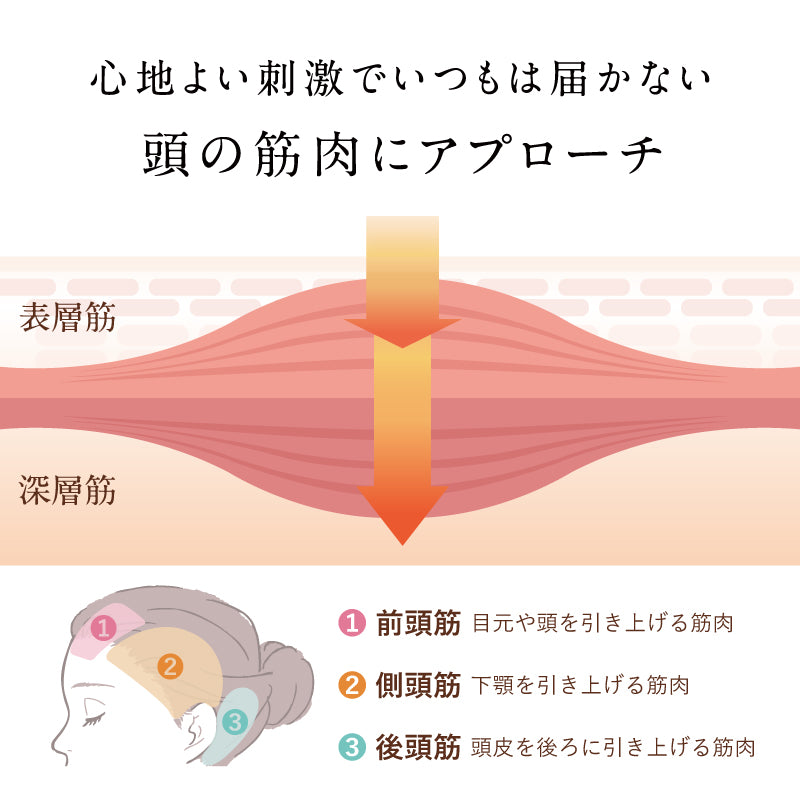 corilax_09.jpg__PID:e5f05906-39dc-4d5a-9649-0aeb7c4b06a8