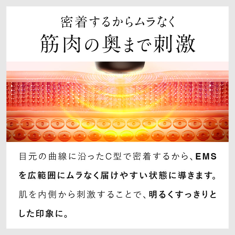 eel_s11.jpg__PID:8d8908f9-f8ea-4de6-8cd5-9bdcbe7e7cdf