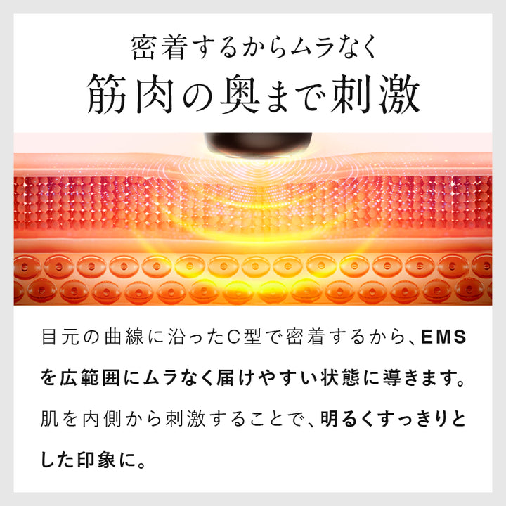 eel_s11.jpg__PID:8d8908f9-f8ea-4de6-8cd5-9bdcbe7e7cdf
